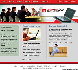 深圳专业网页设计 网站logo设计 画册设计 平面广告设计